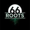 66 Roots